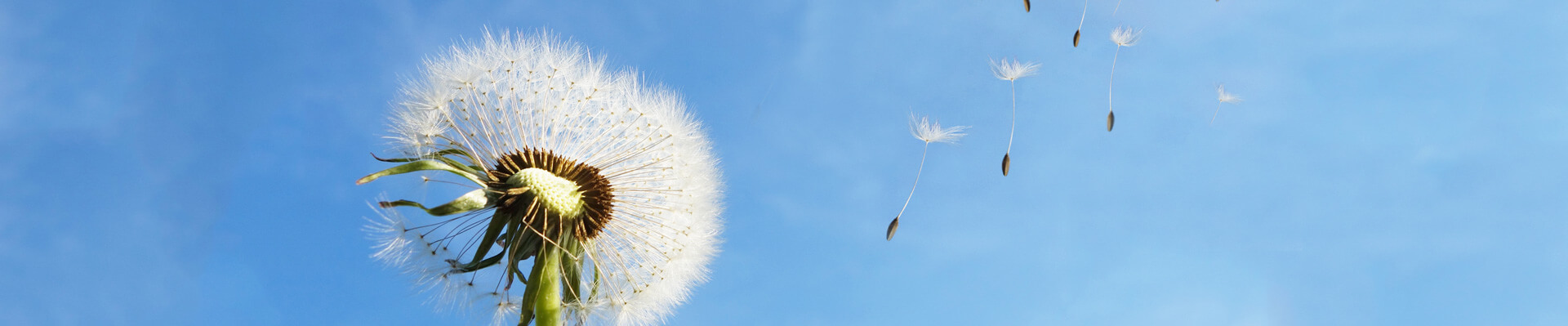 必一运动重机集团股份有限公司