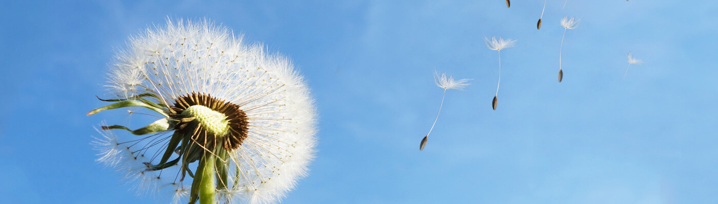 必一运动重机集团股份有限公司